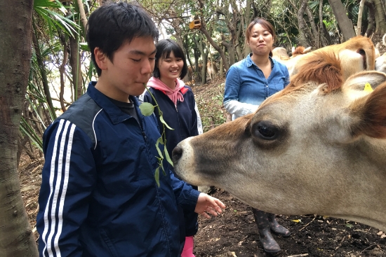 本物の自然とふれあいながら学ぶ伊豆大島の体験学習
